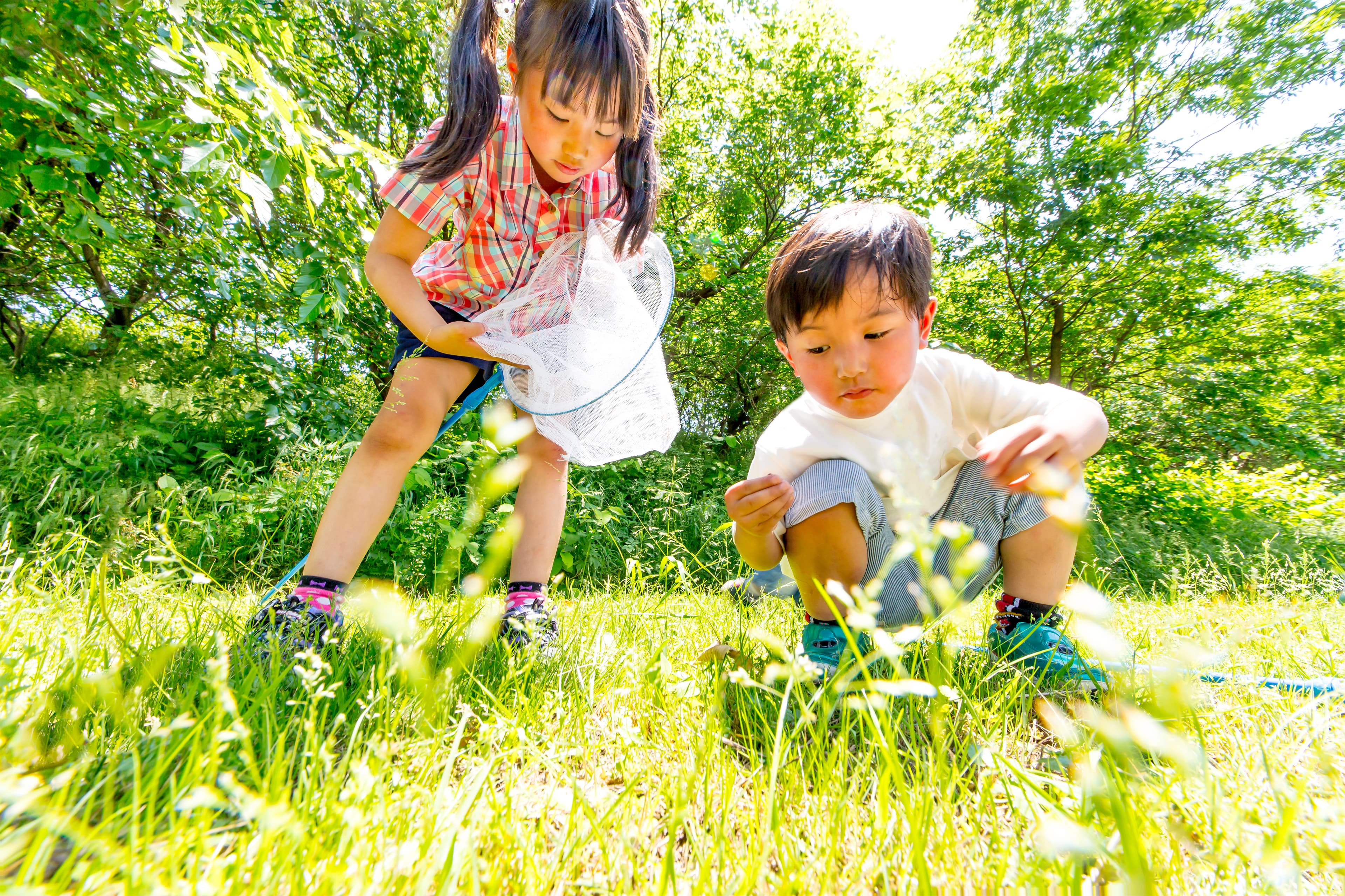 インクルの施設と自然環境