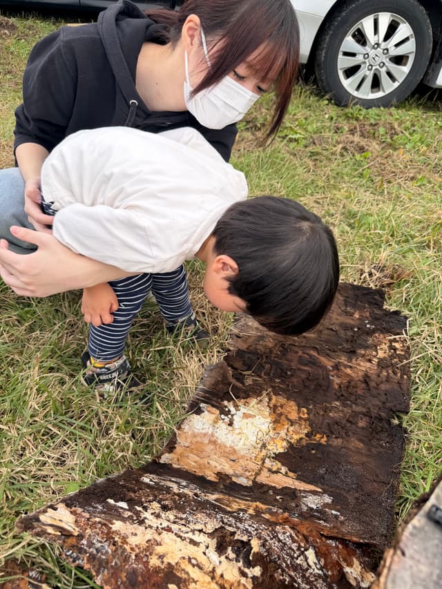 虫取り体験